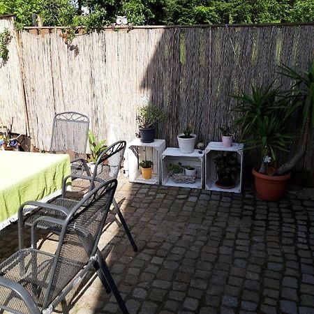 Ferienwohnung Auf Dem Land Rochlitz Exteriör bild