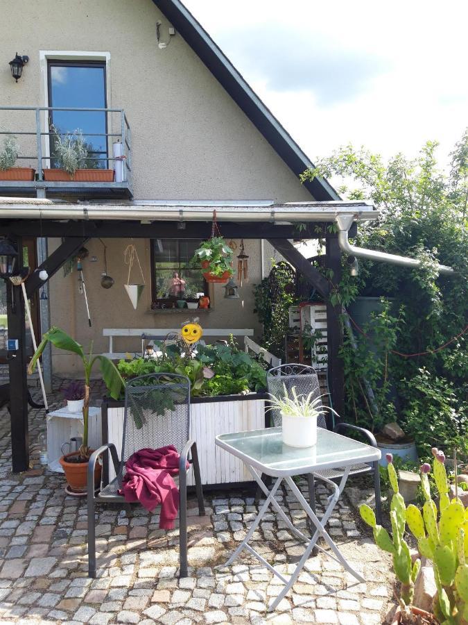 Ferienwohnung Auf Dem Land Rochlitz Exteriör bild