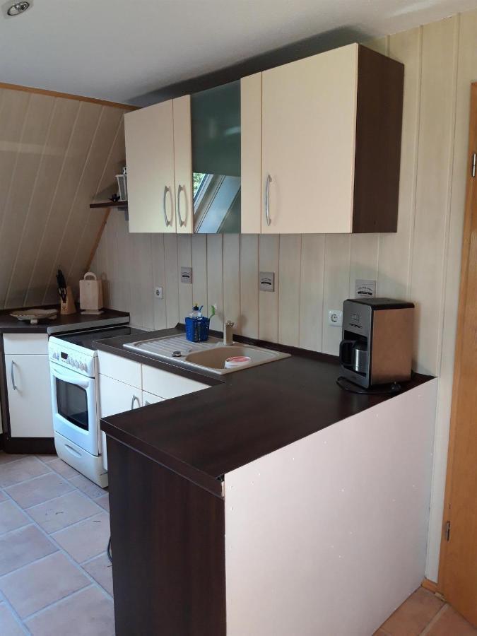 Ferienwohnung Auf Dem Land Rochlitz Exteriör bild